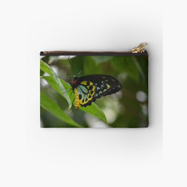 Item preview, Birdwing Butterfly designed and sold by tessa-stark.