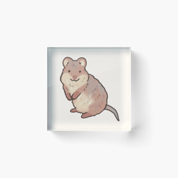 Item preview, Adorable Quokka  designed and sold by Artofmayara.