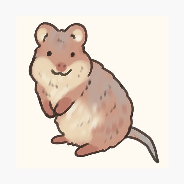 Artikelvorschau, Entzückendes Quokka entworfen und verkauft von Artofmayara.