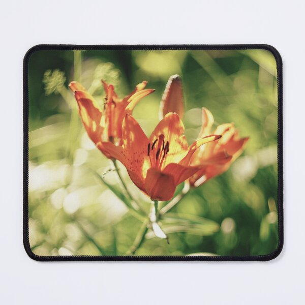 Item preview, Lilium bulbiferum in morning light designed and sold by riku05830.