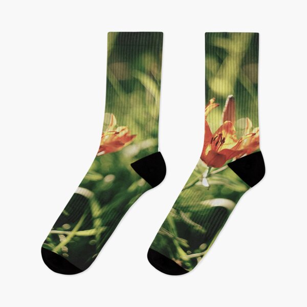 Item preview, Lilium bulbiferum in morning light designed and sold by riku05830.