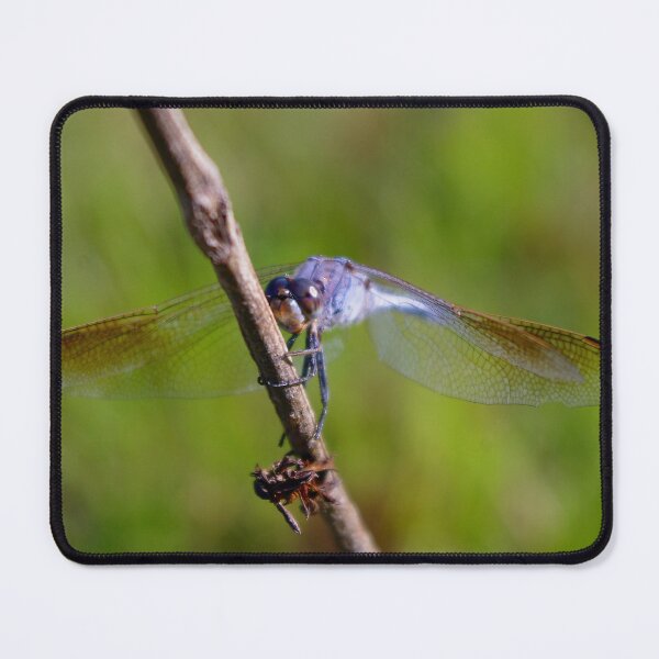 Item preview, Blufly designed and sold by Penny Kittel.