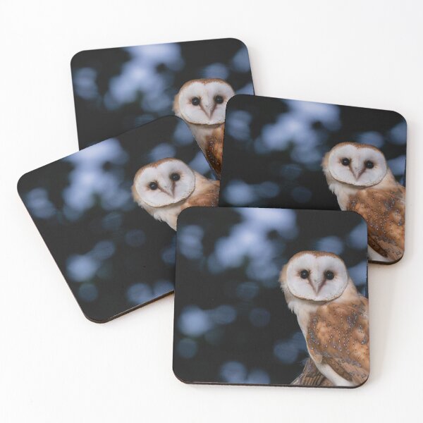 Item preview, Barn Owl perching on its nest box designed and sold by AndrewJonesFoto.