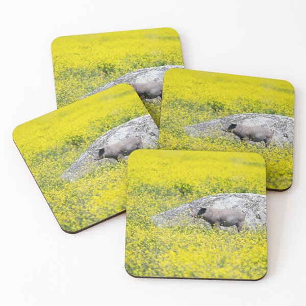 Item preview, Black Iberian Pig designed and sold by AndrewJonesFoto.