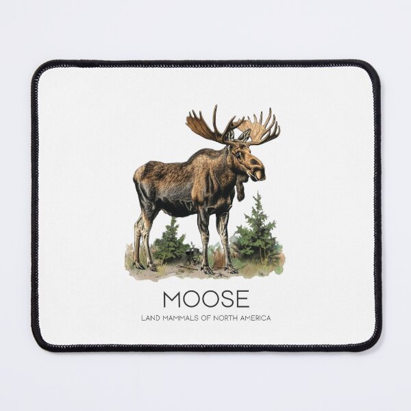 Item preview, Moose - Land Mammals of North America designed and sold by Sketch-Shack.