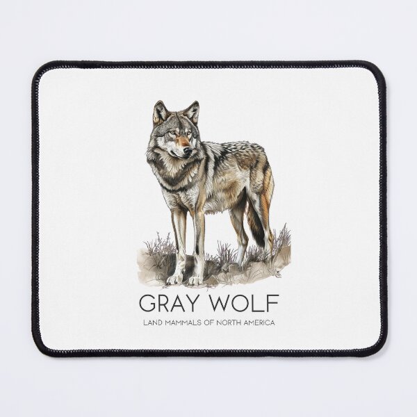 Item preview, Gray Wolf - Land Mammals of North America designed and sold by Sketch-Shack.