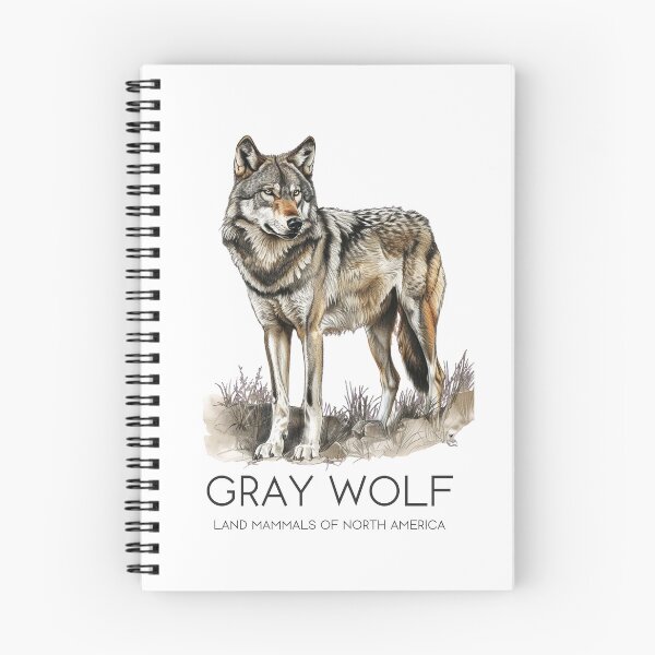 Item preview, Gray Wolf - Land Mammals of North America designed and sold by Sketch-Shack.