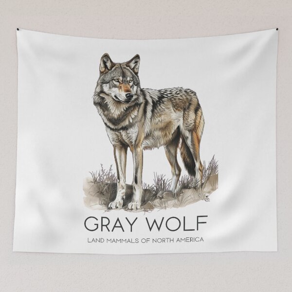 Item preview, Gray Wolf - Land Mammals of North America designed and sold by Sketch-Shack.