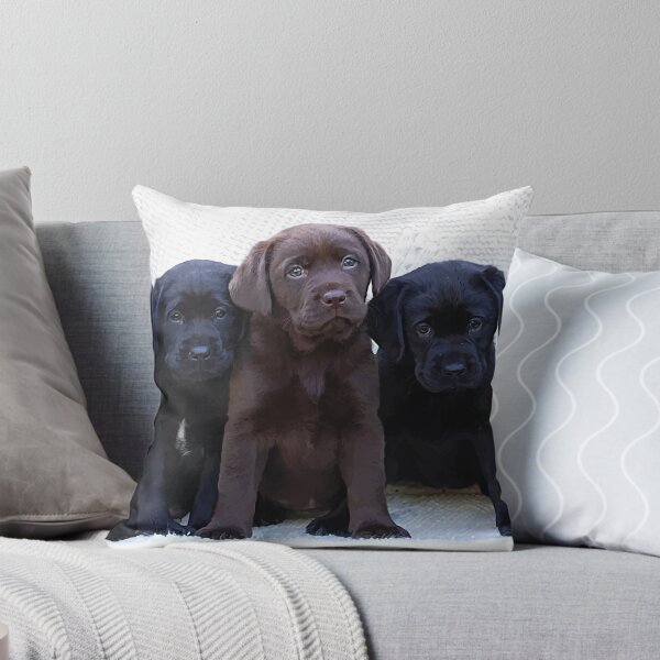 Item preview, Chocolate Lab Puppy - Black Lab Puppies designed and sold by BlackDogArtJudy.