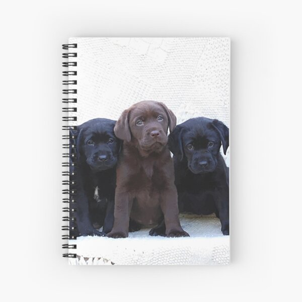Artikel-Vorschau von Schokoladenbrauner Labrador-Welpe - Schwarze Labrador-Welpen, designt und verkauft von BlackDogArtJudy.