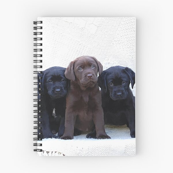 Item preview, Chocolate Lab Puppy - Black Lab Puppies designed and sold by BlackDogArtJudy.