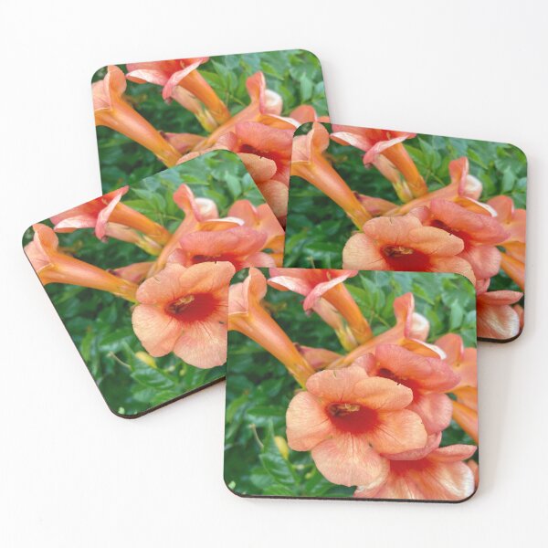 Item preview, Flores  designed and sold by BOBBYBABE.