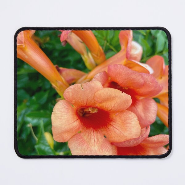 Item preview, Flores  designed and sold by BOBBYBABE.