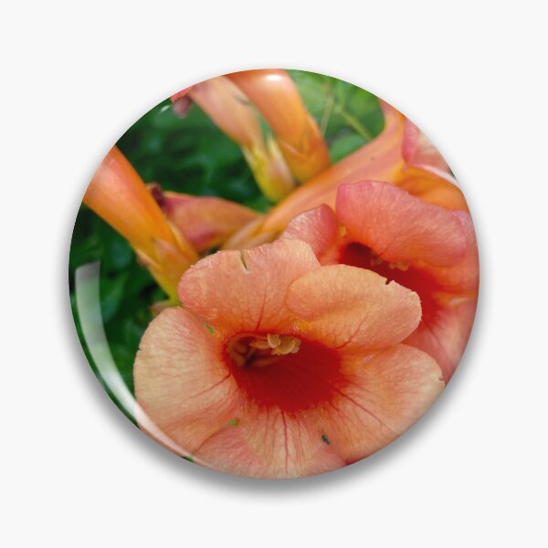 Item preview, Flores  designed and sold by BOBBYBABE.