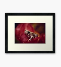 The Secret World of Peepers Framed Print