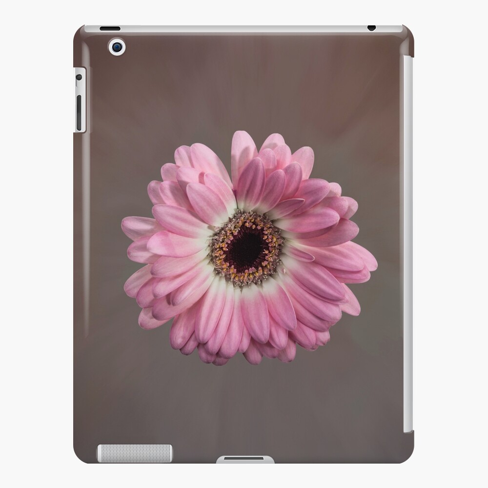 Single pink Gerbera Flower iPad Case & Skin