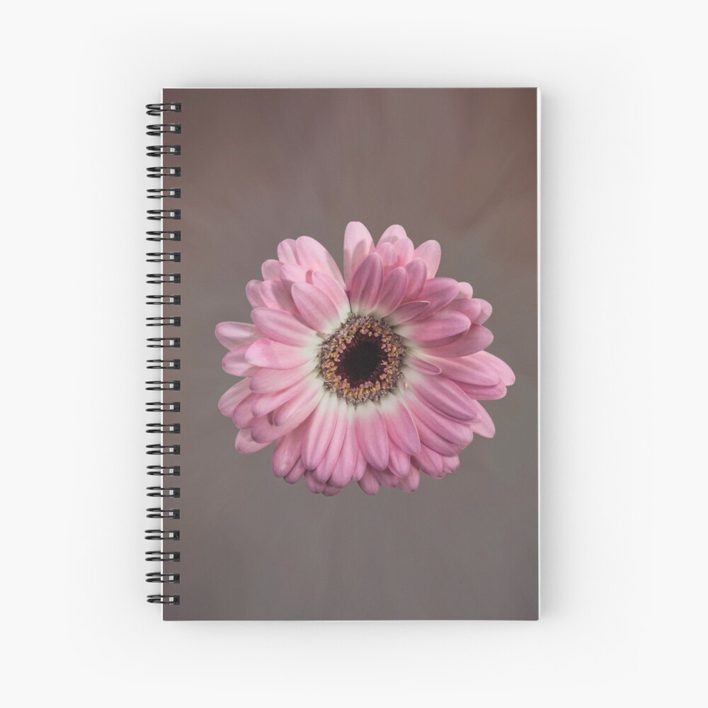 Single pink Gerbera Flower Spiral Notebook