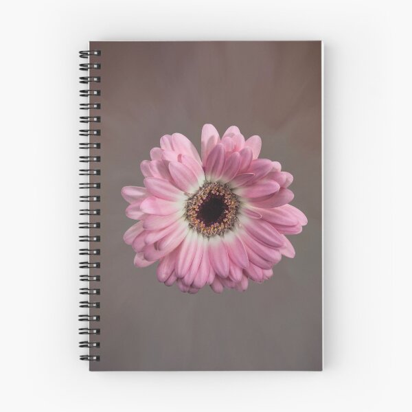 Item preview, Single pink Gerbera Flower designed and sold by Sara Sadler.