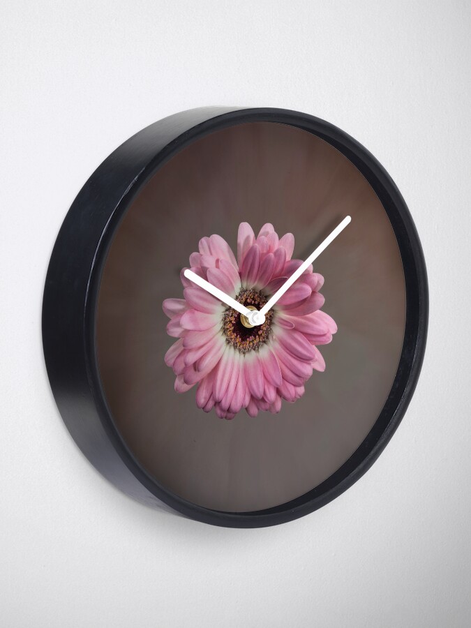Alternate view of Single pink Gerbera Flower Clock