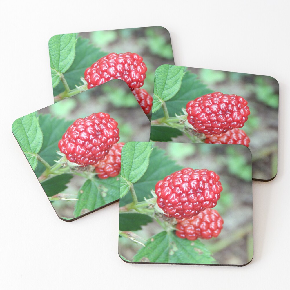 Item preview, Coasters (Set of 4) designed and sold by gistinker.