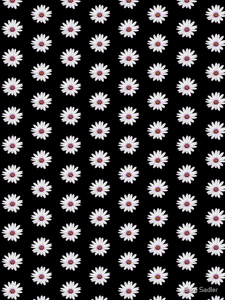 African Daisy by sadler2121