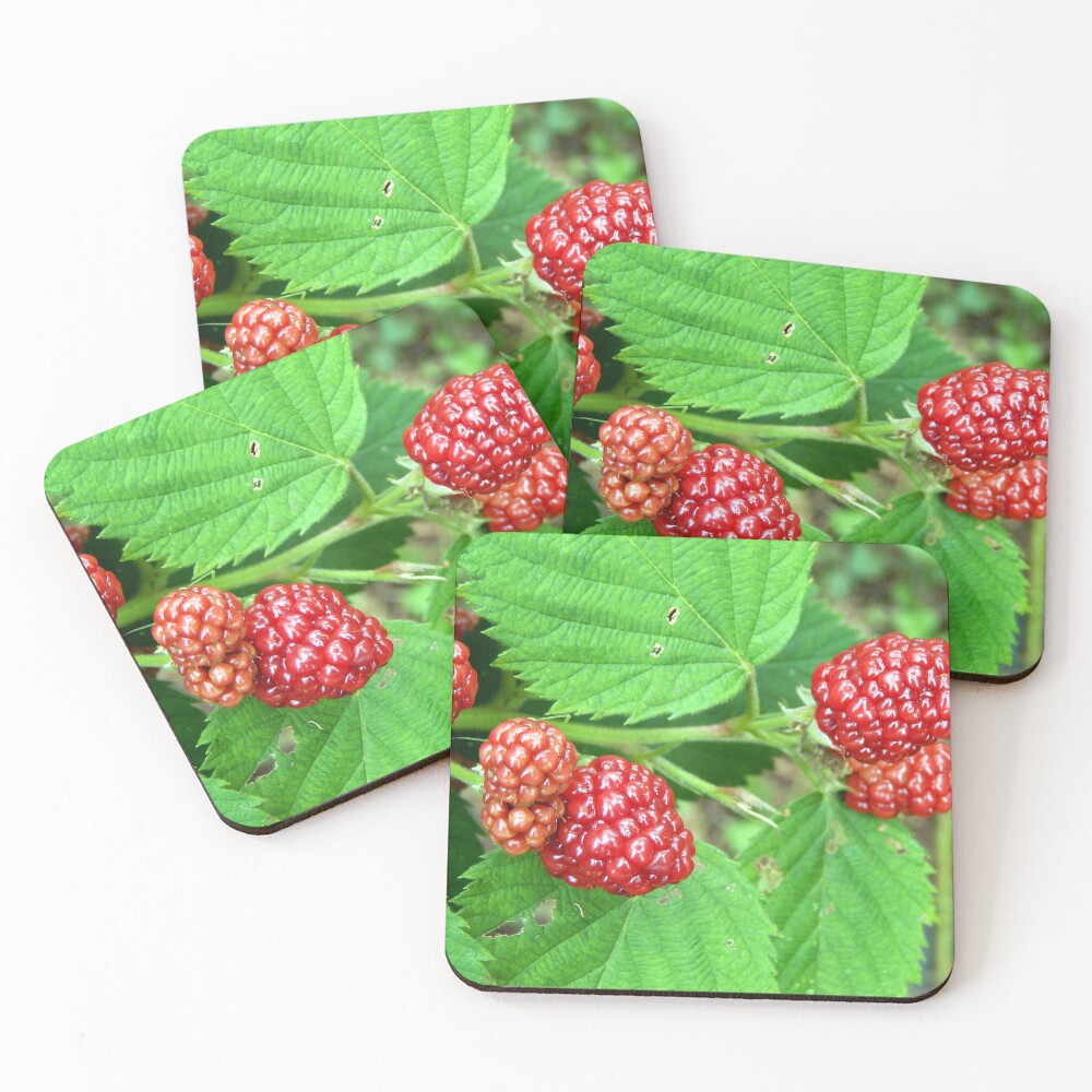 Item preview, Coasters (Set of 4) designed and sold by gistinker.