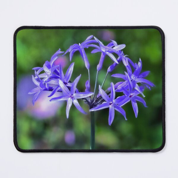 Item preview, Wild Garlic Flower designed and sold by Tom McPherson Photography.