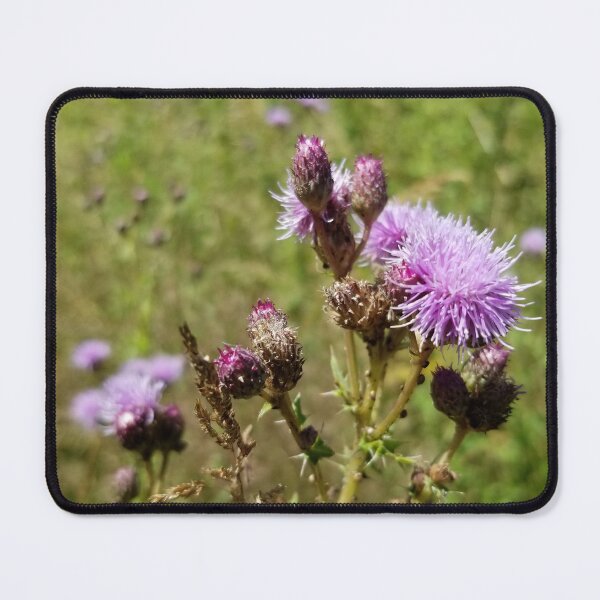 Item preview, Purple Field Thistle designed and sold by Robyn Eggs Art.