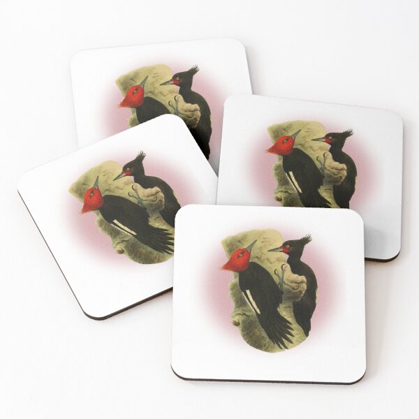Item preview, beautiful couple of  Magellanic Woodpecker classic vintage style. designed and sold by HEMRO.