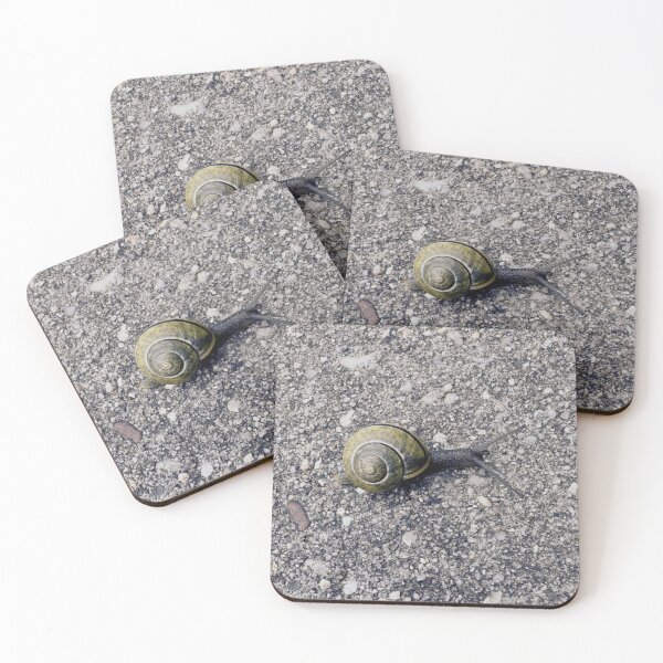 Item preview, Snailing the Pavement designed and sold by South Bay Storyteller .