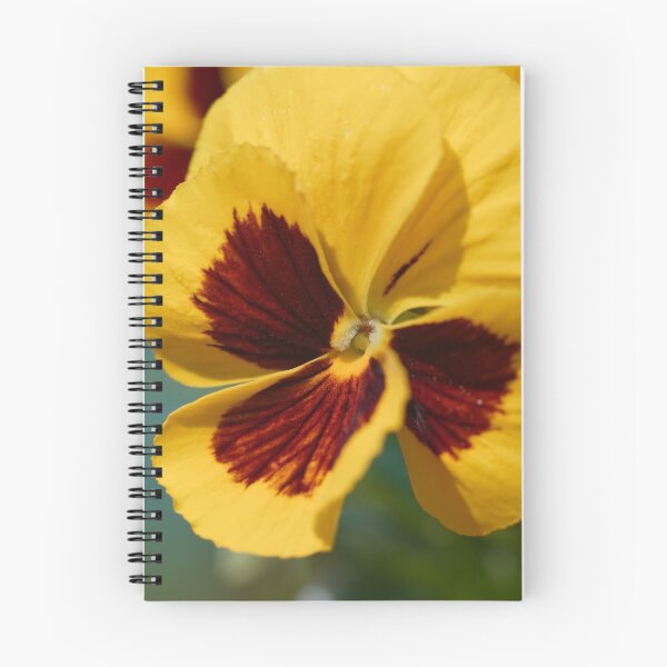 Item preview, Garden hybrid Pansy flower  designed and sold by Claraveritas.