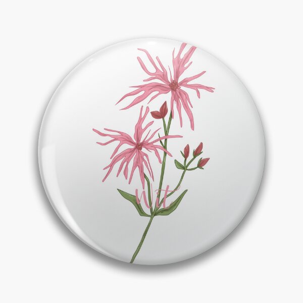 Item preview, Ragged Robin is Wit designed and sold by RainsQuillMask.