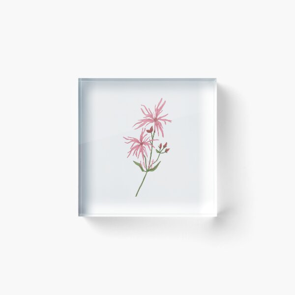 Item preview, Ragged Robin is Wit designed and sold by RainsQuillMask.