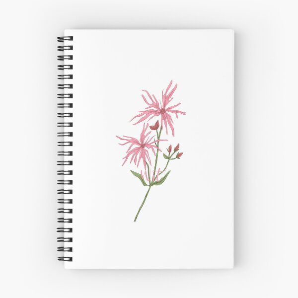 Item preview, Ragged Robin is Wit designed and sold by RainsQuillMask.