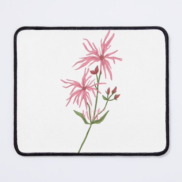 Item preview, Ragged Robin is Wit designed and sold by RainsQuillMask.