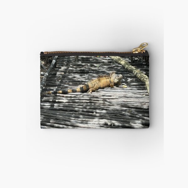 Item preview, Iguana from San Pedro, Belize  designed and sold by thebentknitter.