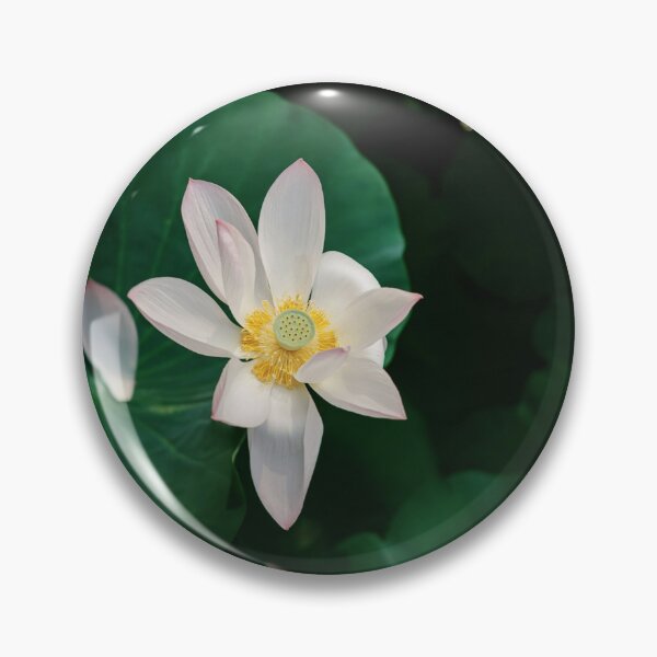 Item preview, Beautiful White Flower Photograph  designed and sold by TheFullFantasy.