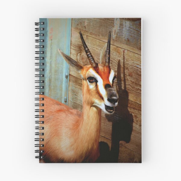 Item preview, Gazelle  designed and sold by Savannah Gibbs.