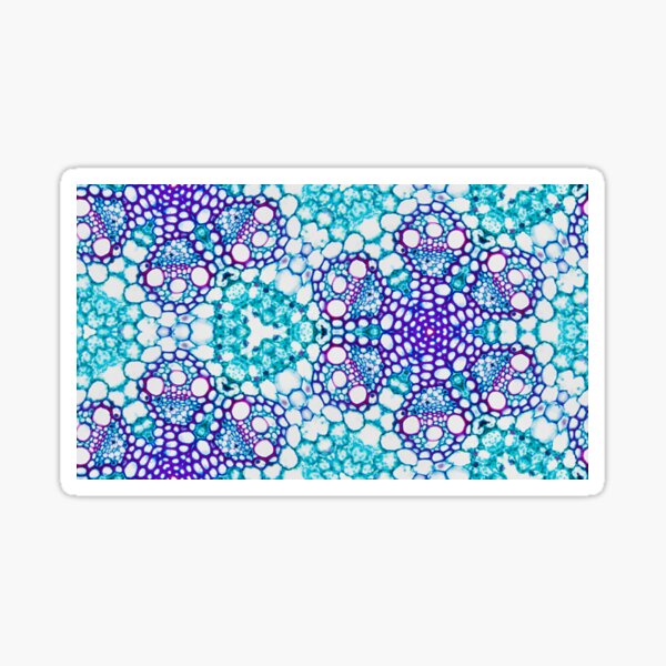 TRITICUM - Wheat Leaf - Microscopy Photograph Sticker