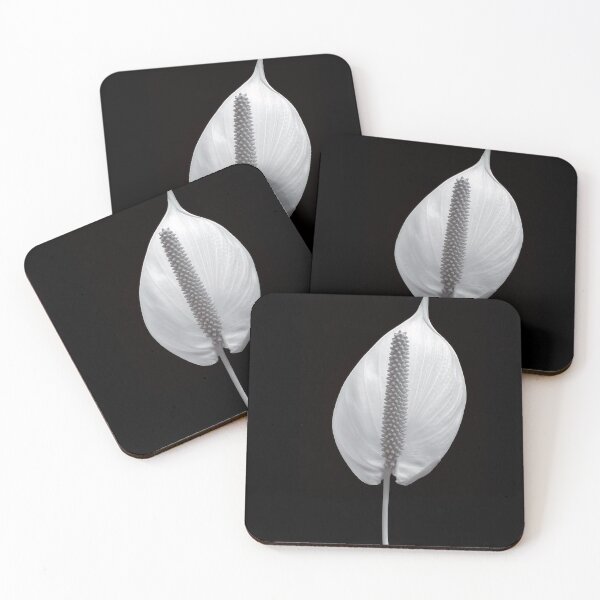 Item preview, Peace Lily designed and sold by Tom McPherson Photography.