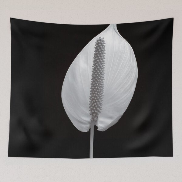 Item preview, Peace Lily designed and sold by Tom McPherson Photography.