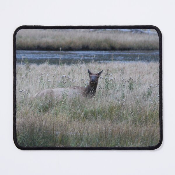 Item preview, Bedded Elk designed and sold by discocowgirl.