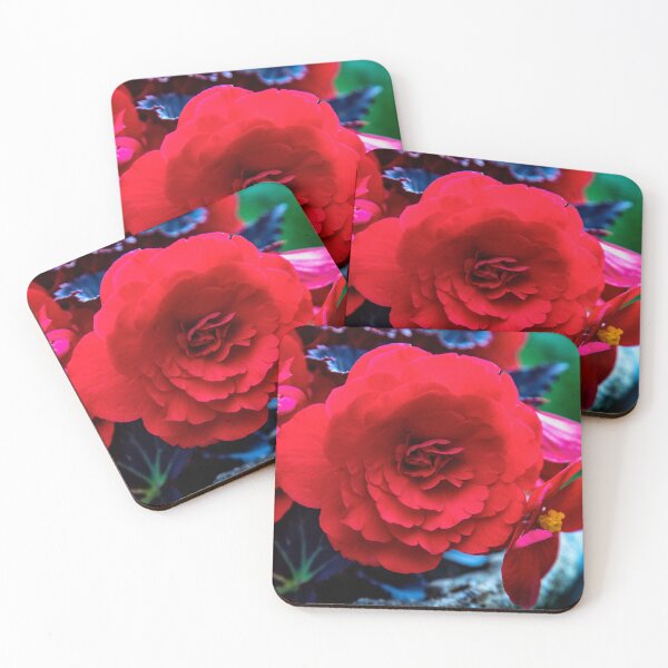 Item preview, Begonia  designed and sold by jasminewang.