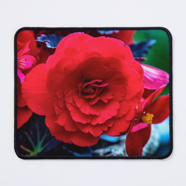 Item preview, Begonia designed and sold by jasminewang.