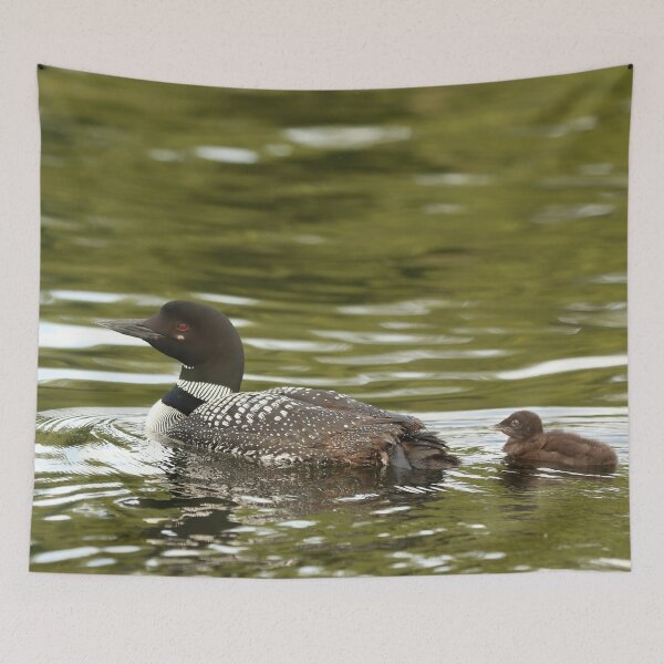 Item preview, Mom and baby loon designed and sold by Inlovewithloons.