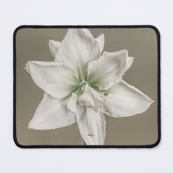 Item preview, Flower Power Pic #1 designed and sold by Ernie Steven Dickey.