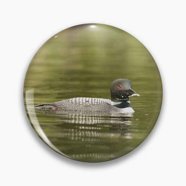 Item preview, Father loon with fish designed and sold by Inlovewithloons.