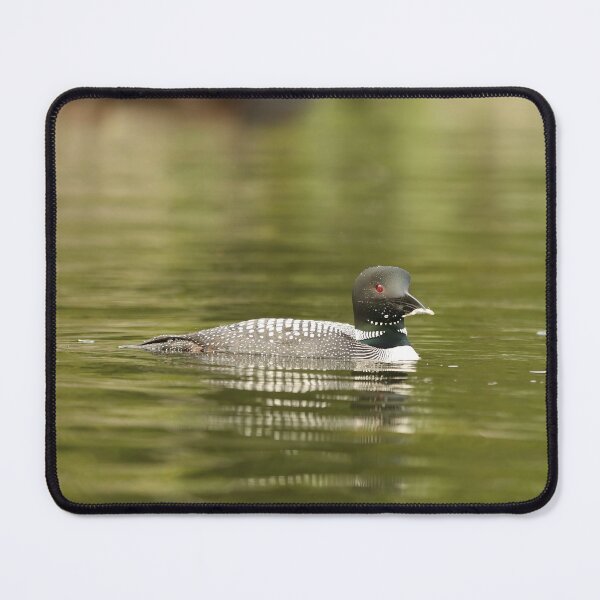 Item preview, Father loon with fish designed and sold by Inlovewithloons.