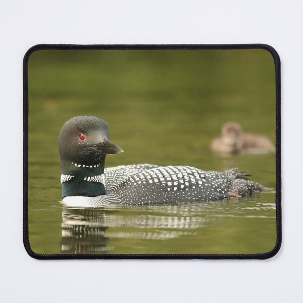 Item preview, Papa loon designed and sold by Inlovewithloons.