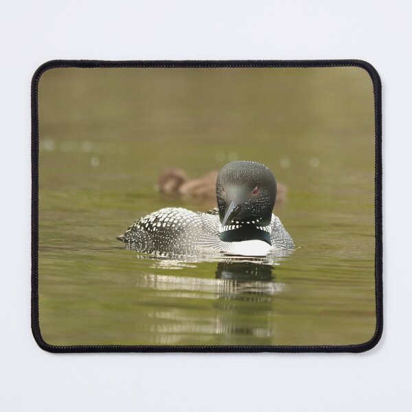 Item preview, Beautiful loon parent designed and sold by Inlovewithloons.